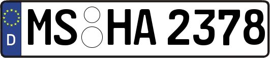 MS-HA2378