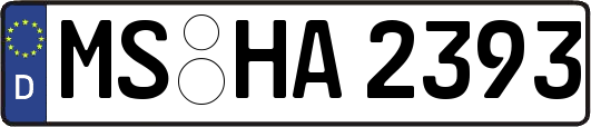 MS-HA2393