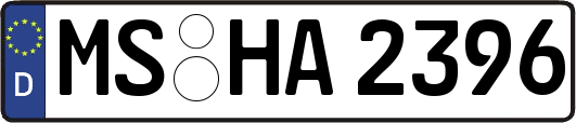 MS-HA2396