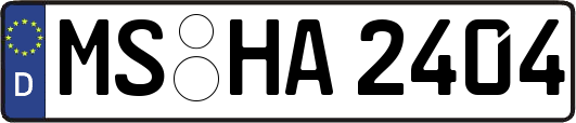 MS-HA2404