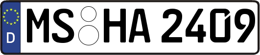 MS-HA2409