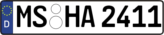 MS-HA2411