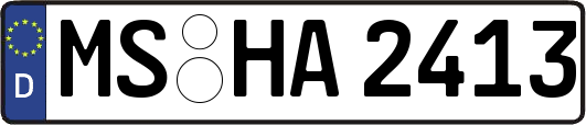 MS-HA2413