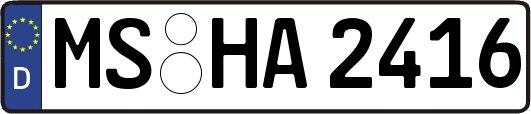 MS-HA2416