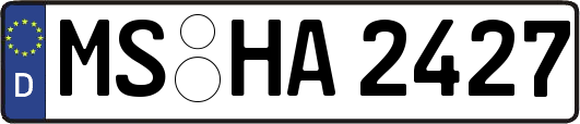 MS-HA2427
