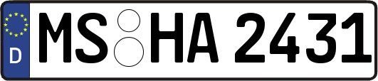 MS-HA2431