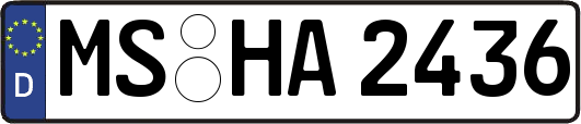MS-HA2436