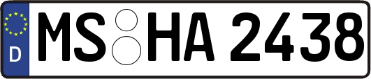 MS-HA2438