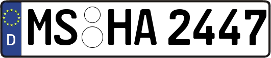MS-HA2447