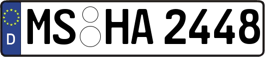 MS-HA2448