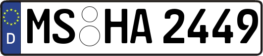 MS-HA2449