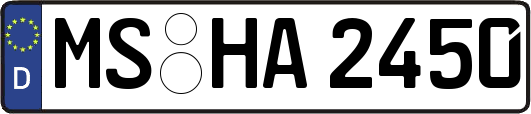 MS-HA2450
