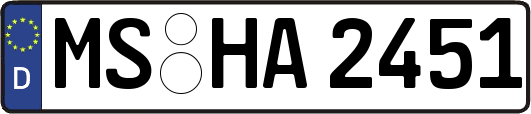 MS-HA2451
