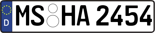 MS-HA2454