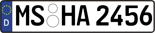 MS-HA2456