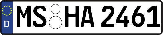 MS-HA2461