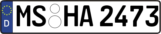 MS-HA2473