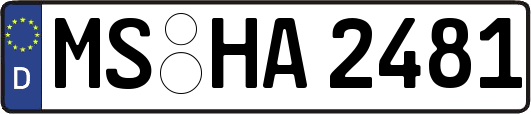 MS-HA2481