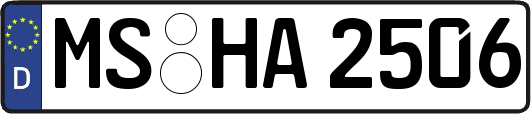 MS-HA2506