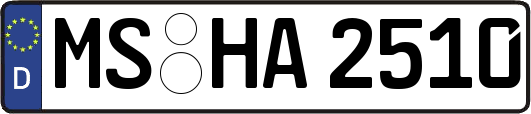 MS-HA2510