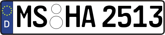 MS-HA2513