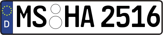 MS-HA2516
