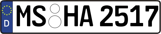 MS-HA2517