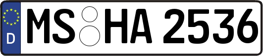 MS-HA2536