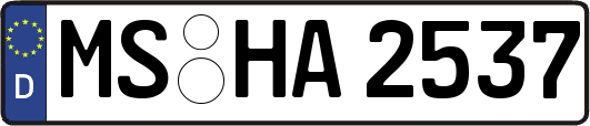 MS-HA2537