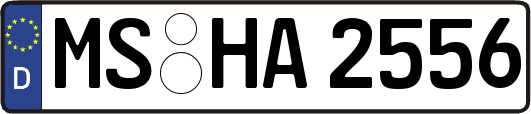 MS-HA2556