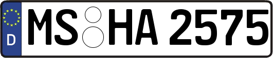 MS-HA2575