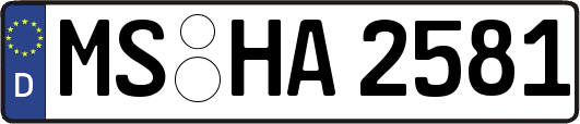 MS-HA2581