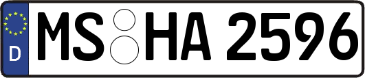 MS-HA2596