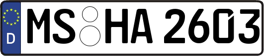 MS-HA2603