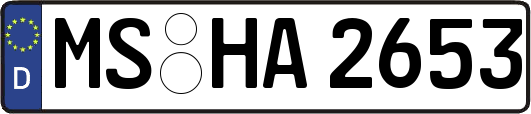 MS-HA2653
