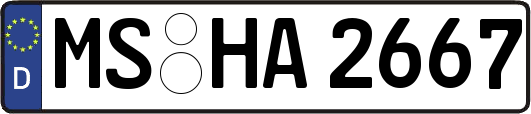 MS-HA2667