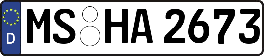 MS-HA2673