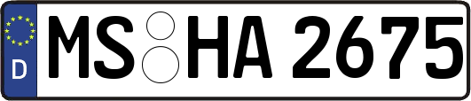 MS-HA2675