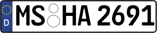 MS-HA2691