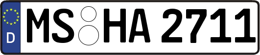 MS-HA2711
