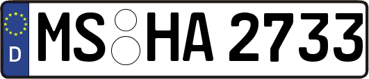 MS-HA2733