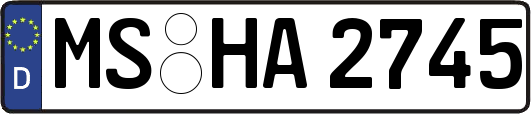 MS-HA2745