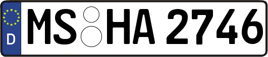 MS-HA2746