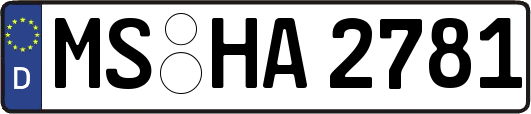 MS-HA2781