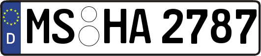 MS-HA2787