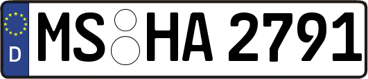 MS-HA2791