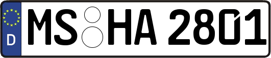 MS-HA2801