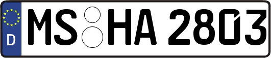 MS-HA2803