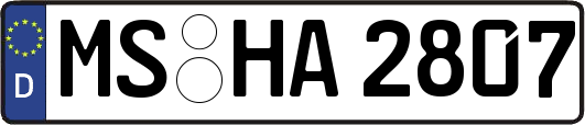 MS-HA2807