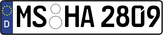 MS-HA2809